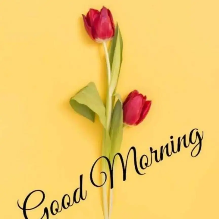 new good morning images